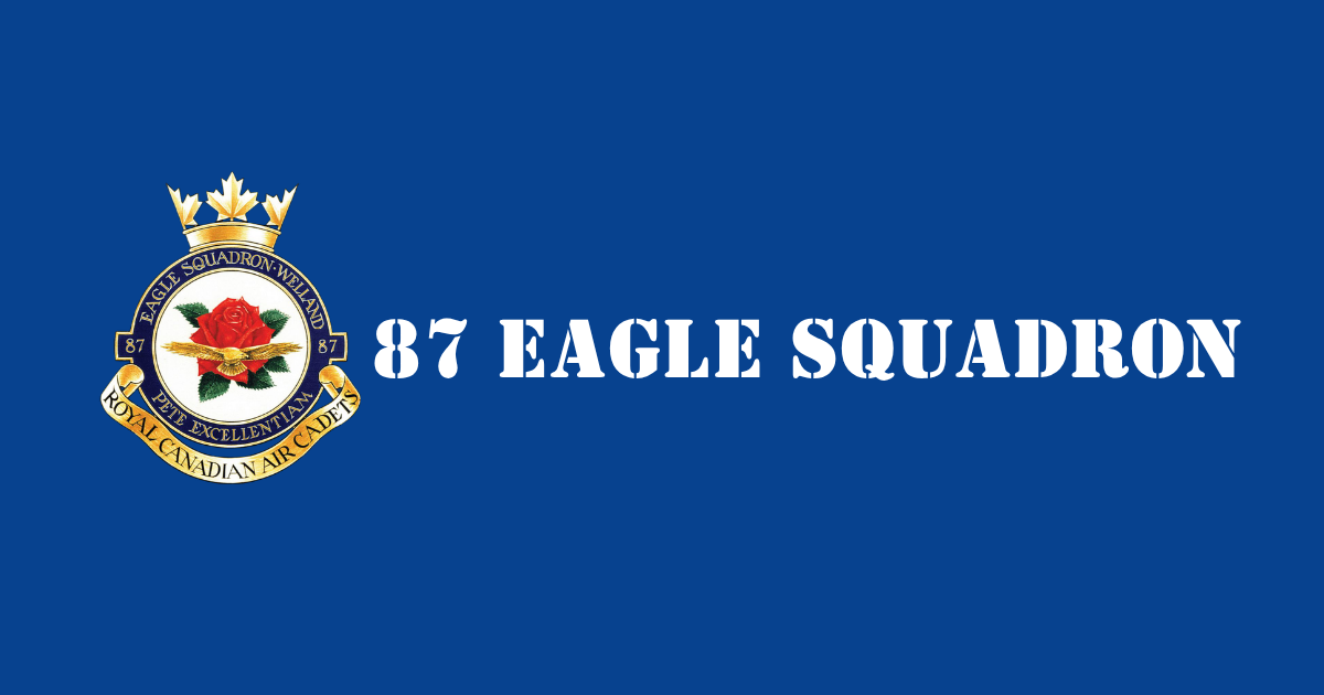 87 Eagle